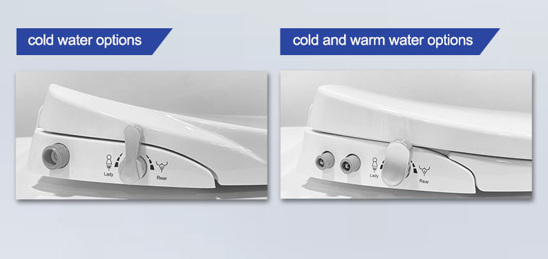 toilet seat with a bidet toilet seat with a bidet