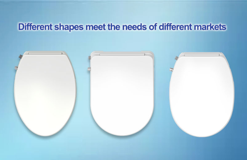 toilet seat with a bidet toilet seat with a bidet