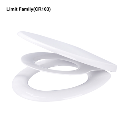 Seient de vàter amb seient d'orinal integrat