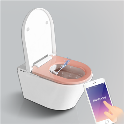 Lavabo Amb Seient Calefacció I Bidet